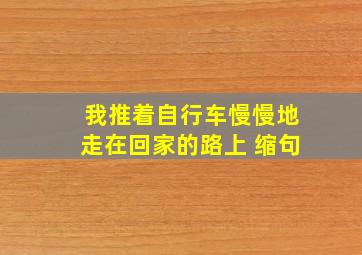 我推着自行车慢慢地走在回家的路上 缩句